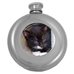 Kitty In A Corner Round Hip Flask (5 Oz) by trendistuff