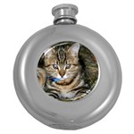 BLUE-EYED KITTY Round Hip Flask (5 oz) Front