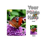 PEACOCK BUTTERFLY Playing Cards 54 (Mini)  Front - Spade5