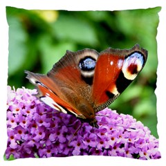 Peacock Butterfly Standard Flano Cushion Cases (one Side)  by trendistuff