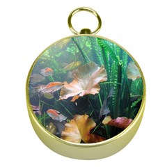 Marine Life Gold Compasses by trendistuff