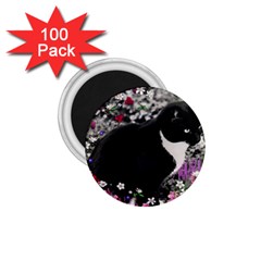 Freckles In Flowers Ii, Black White Tux Cat 1 75  Magnets (100 Pack)  by DianeClancy