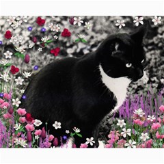 Freckles In Flowers Ii, Black White Tux Cat Collage 8  X 10  by DianeClancy