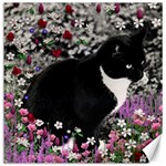 Freckles In Flowers Ii, Black White Tux Cat Canvas 16  x 16   15.2 x15.41  Canvas - 1