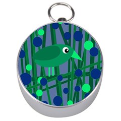 Green And Blue Bird Silver Compasses by Valentinaart