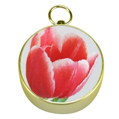 Tulip Red Watercolor Painting Gold Compasses by picsaspassion