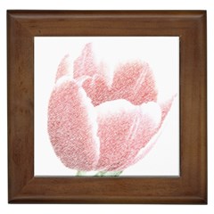 Tulip Red Pencil Drawing Art Framed Tiles by picsaspassion