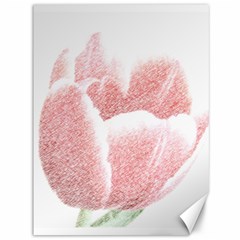 Tulip Red Pencil Drawing Art Canvas 36  X 48   by picsaspassion