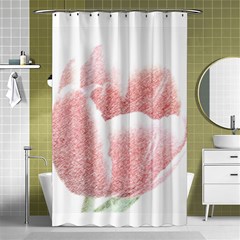 Tulip Red Pencil Drawing Art Shower Curtain 48  X 72  (small)  by picsaspassion