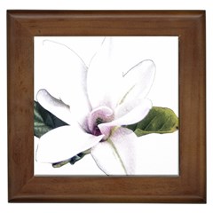 White Magnolia Pencil Drawing Art Framed Tiles by picsaspassion