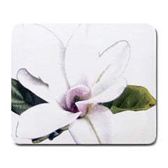 White Magnolia Pencil Drawing Art Large Mousepads by picsaspassion