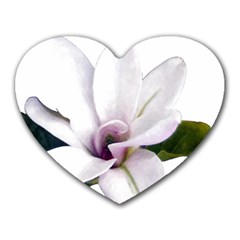 Magnolia Wit Aquarel Painting Art Heart Mousepads by picsaspassion