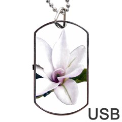 Magnolia Wit Aquarel Painting Art Dog Tag Usb Flash (one Side) by picsaspassion