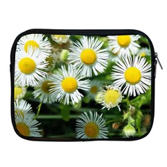 White Summer Flowers Oil Painting Art Apple Ipad 2/3/4 Zipper Cases by picsaspassion