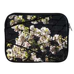 Japanese Cherry Blossom Apple Ipad 2/3/4 Zipper Cases by picsaspassion