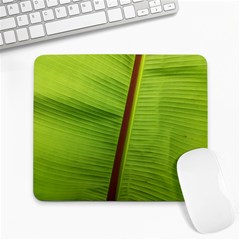 Ensete Leaf Large Mousepads by picsaspassion