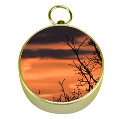 Tree Branches And Sunset Gold Compasses by picsaspassion