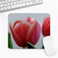 Red - White Tulip Flower Large Mousepads by picsaspassion