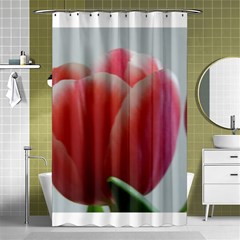 Red - White Tulip Flower Shower Curtain 48  X 72  (small)  by picsaspassion