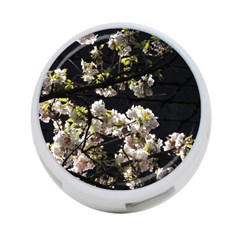 Japanese Cherry Flower 4-port Usb Hub (one Side) by picsaspassion