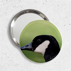 Goose Bird In Nature 2 25  Handbag Mirrors by picsaspassion