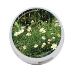 White Daisy flowers 4-Port USB Hub (One Side) Front