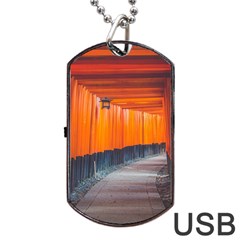 Architecture Art Bright Color Dog Tag Usb Flash (two Sides)  by Amaryn4rt