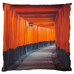 Architecture Art Bright Color Large Cushion Case (two Sides) by Amaryn4rt