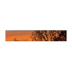 Twilight Sunset Sky Evening Clouds Flano Scarf (Mini) Back