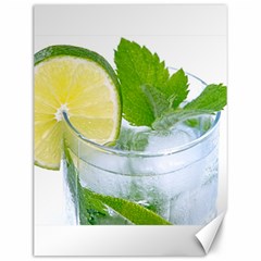 Cold Drink Lime Drink Cocktail Canvas 12  X 16   by Amaryn4rt