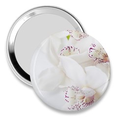 Orchids Flowers White Background 3  Handbag Mirrors by Amaryn4rt