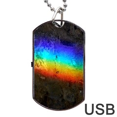 Rainbow Color Prism Colors Dog Tag Usb Flash (two Sides) by Amaryn4rt