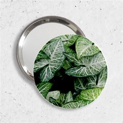 Green Leaves Nature Pattern Plant 2 25  Handbag Mirrors by Amaryn4rt