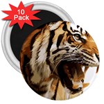 Royal Tiger National Park 3  Magnets (10 pack)  Front