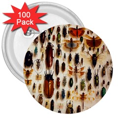 Insect Collection 3  Buttons (100 Pack)  by Nexatart