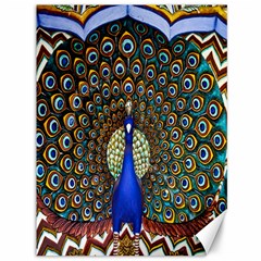 The Peacock Pattern Canvas 36  X 48   by Nexatart