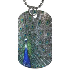 Peacock Four Spot Feather Bird Dog Tag (two Sides) by Nexatart