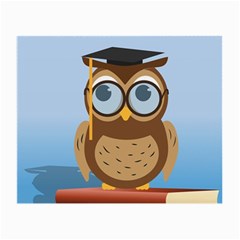 Read Owl Book Owl Glasses Read Small Glasses Cloth by Nexatart