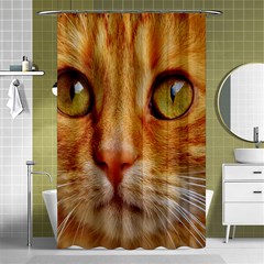 Cat Red Cute Mackerel Tiger Sweet Shower Curtain 48  X 72  (small)  by Nexatart