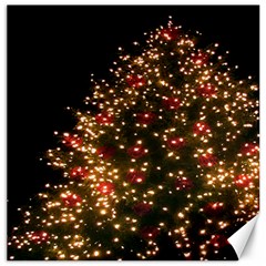 Christmas Tree Canvas 20  X 20   by Nexatart