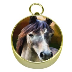 Horse Horse Portrait Animal Gold Compasses by Nexatart