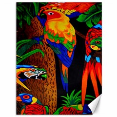 Parrots Aras Lori Parakeet Birds Canvas 36  X 48   by Nexatart