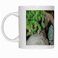 Plant Succulent Plants Flower Wood White Mugs by Nexatart