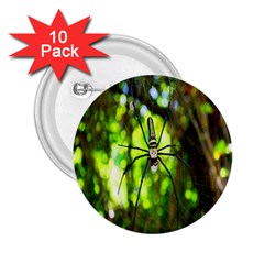 Spider Spiders Web Spider Web 2 25  Buttons (10 Pack)  by Nexatart