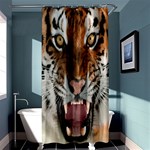 Tiger  Shower Curtain 36  x 72  (Stall)  Curtain(36 X72 ) - 33.26 x66.24  Curtain(36 X72 )