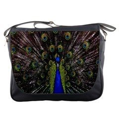 Bird Peacock Display Full Elegant Plumage Messenger Bags by Amaryn4rt