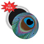 Peacock Feather Lines Background 2.25  Magnets (10 pack)  Front