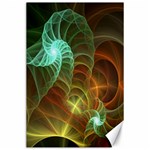 Art Shell Spirals Texture Canvas 24  x 36  23.35 x34.74  Canvas - 1