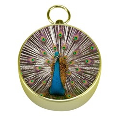 Indian Peacock Plumage Gold Compasses by Simbadda