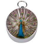 Indian Peacock Plumage Silver Compasses Front